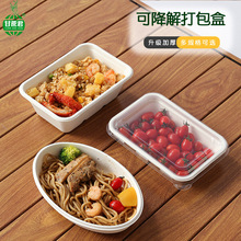 环保一次性甘蔗浆餐具可降解外卖打包盒户外野餐露营纸浆便当餐盒