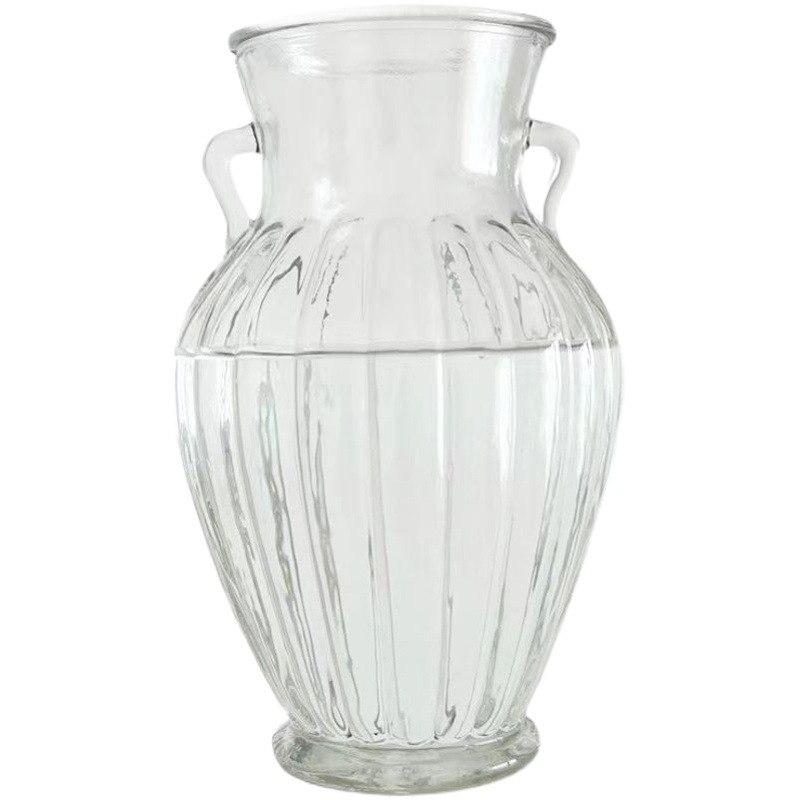 Barra vertical de doble oreja decoración de jarrón de vidrio transparente estilo ins flor seca al por mayor florero de vidrio de rábano verde al por mayor