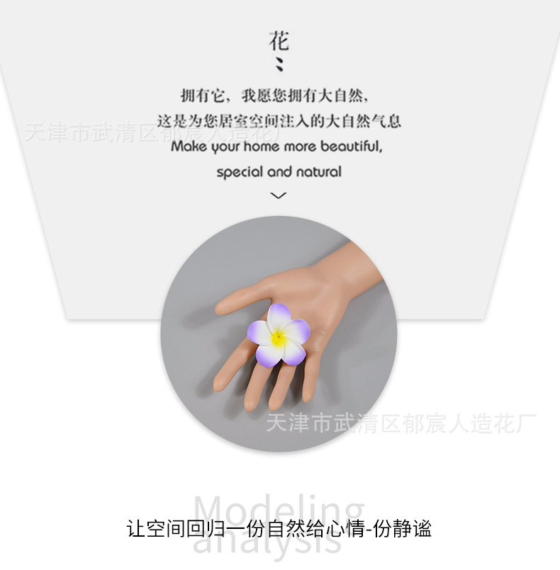 详情_05.png
