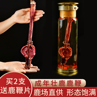 Dried Deer Whip Whole Root and Pruning Jilin Fresh Wine Material for Men's Use Pilose Antler and Ginseng Pieces Plum Blossom Deer Whip Cream