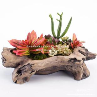 **辰ℓ₀͵ľWtWͥԺ@b