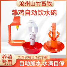 批发鸡用饲料自动饮水器鸭鹅饮水碗喝水鹌鹑家禽雏鸡节水小鸡机械