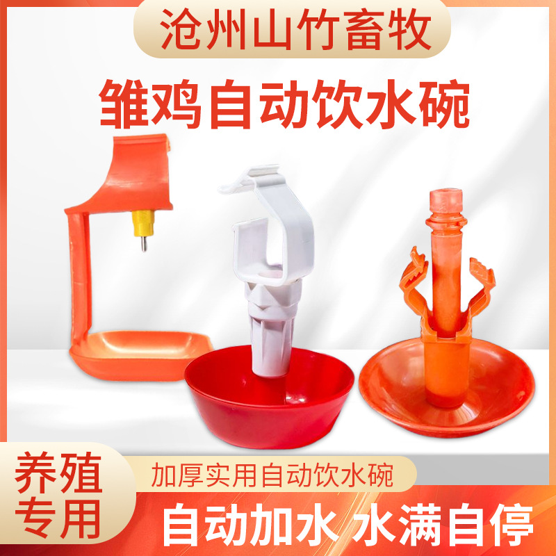 批发鸡用饲料自动饮水器鸭鹅饮水碗喝水鹌鹑家禽雏鸡节水小鸡机械