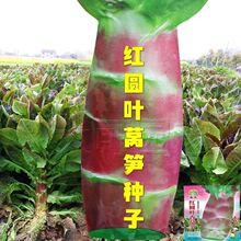 �����A�~�n�S�N���ļ��߮a�ش��ͺ��͟�tƤ��Ƥ�G���n�ķN��