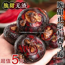 ���r�R��V���r��ݩ�j�خa�����ش��߲˵����֭��������ˮ���F��