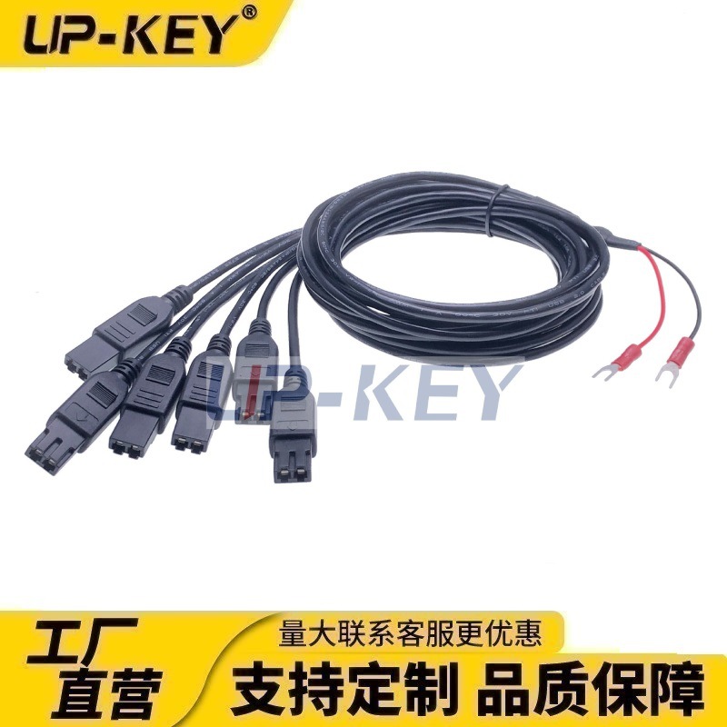 汽车喷油嘴转接线，汽车维修保养喷油嘴转接线，2P公转母转接线