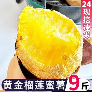 ��ɏ������ɯ��t�����r5��عϳ�����ɯ�������큆�R�d�羳