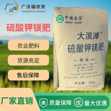 �S�����l ���r������V�ʴ��M�������L�ṩ����VԪ�ظ�������