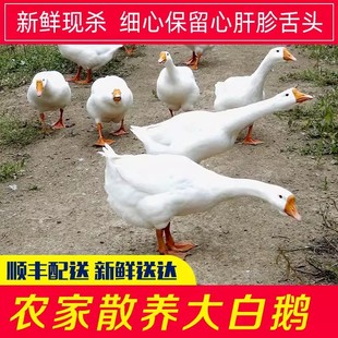 �r��ɢ�B���r����Z�F���Z��������Z���Z�F偟����Z�ǖ|�������Z