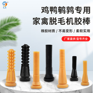 ����Óë��Óë�C���z����ë��ţ��Óë�C�z��ͨ��Óë�C����z��