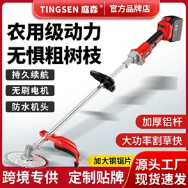 电动吹风机;电链锯;其他园林工具