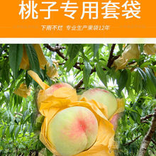 水果袋子批发套枇杷套套梨套桃套柑橘套柚柠檬厂家直销防虫树套袋