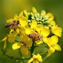 Դֲ ļ۷仨NͲ˻NӴ̻Ӣ໨ľm@