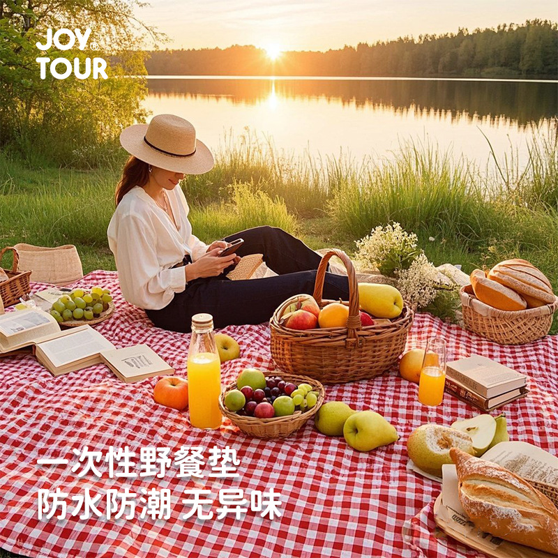一次性野餐垫桌布防水防油户外防潮地垫便携春游露营一次性野餐垫