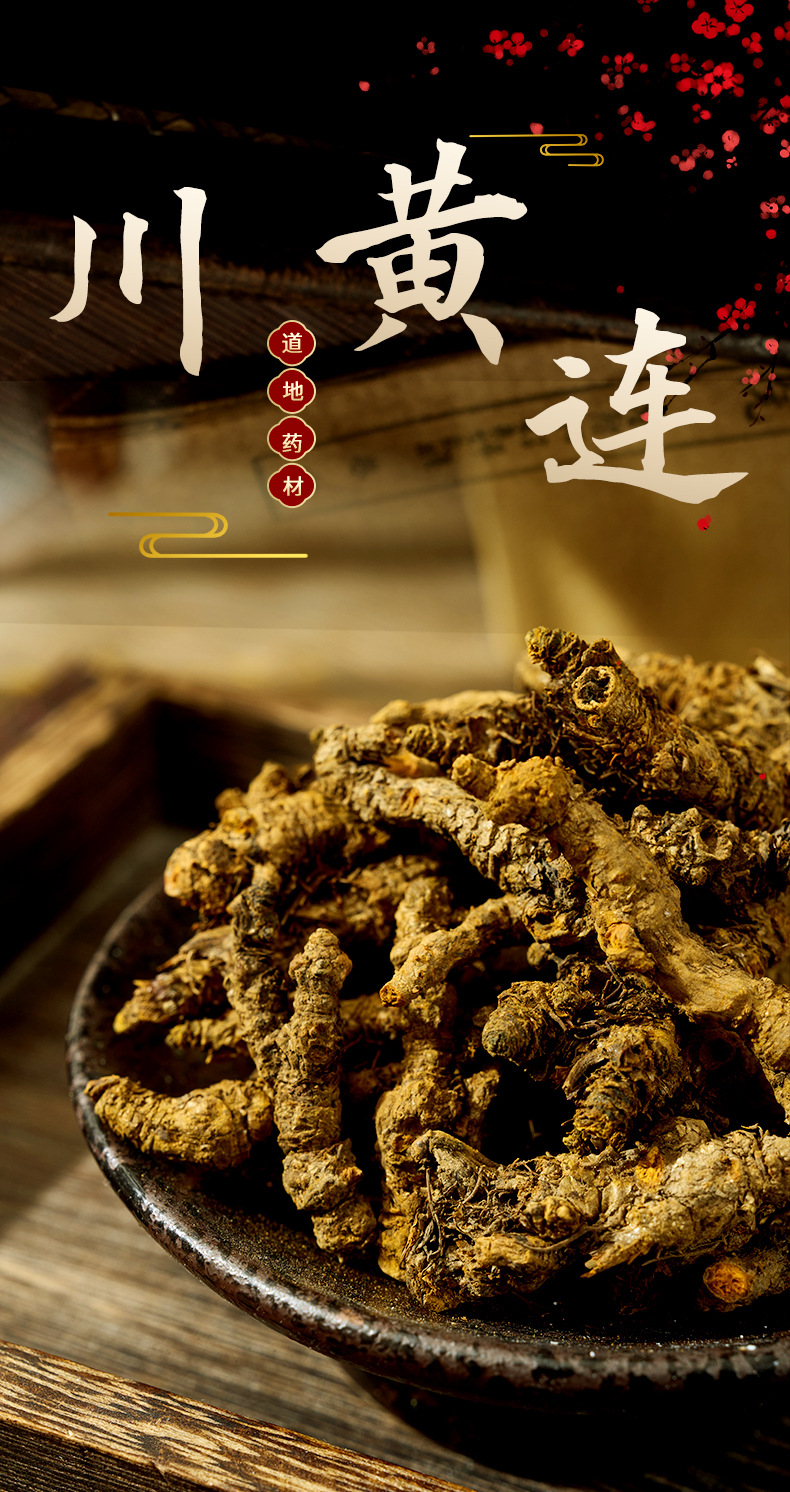 Sichuan Coptis Root Slices Huang Lian 500g Wild Chuan Lian Dried Herb for Decoction overview