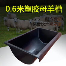 ţ���ˮ����ۼӺ����ţʳ������ιˮ������ţ��ˮ���ϲ�ţ���B