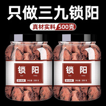 新疆野生锁阳中药饮片干货中药材正品整根切片肉苁蓉淫羊藿五宝茶