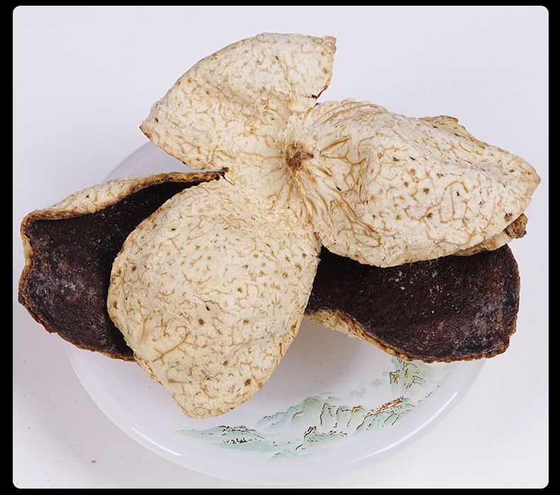 Xinhui Chenpi (Citrus reticulata) — Aged Dried Tangerine Peel for Tea, Seasoning & Soup in use