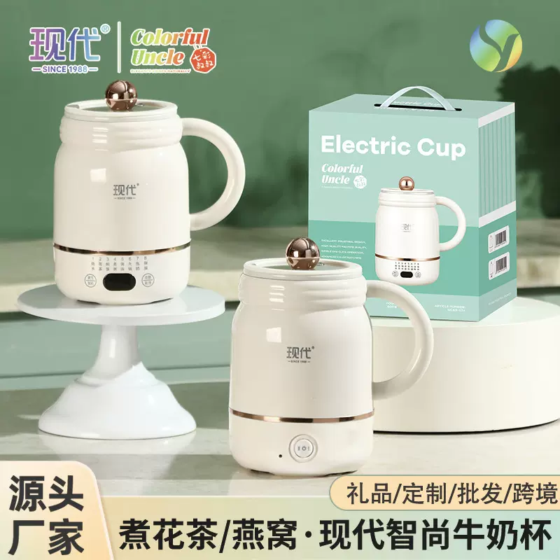 跨境 旅行便携电热水杯智能保温加热水杯办公室多功能小型烧水杯