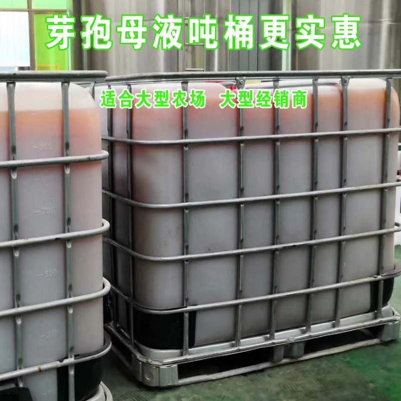 微生物菌发酵原液  芽孢母液 含 枯草芽孢杆菌 地衣芽孢杆菌等