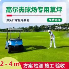 �����ƺ�\�Ӳݹ��X�������Ƥ䁵ؾG���h���������o��ζ�ߠ���