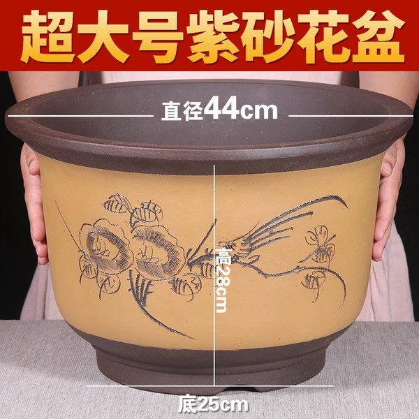 ㊣Purple sand + bright yellow 44cm yellow carved tree planting㊣