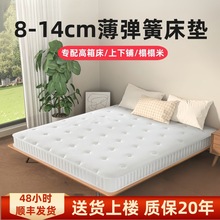 ϯ˼z|8cm䴲14cmS鰫ɴ|