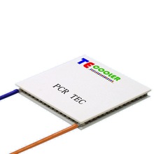 �����κ�����뵼������Ƭ����ѭ����PCR����ϸ����TEC������