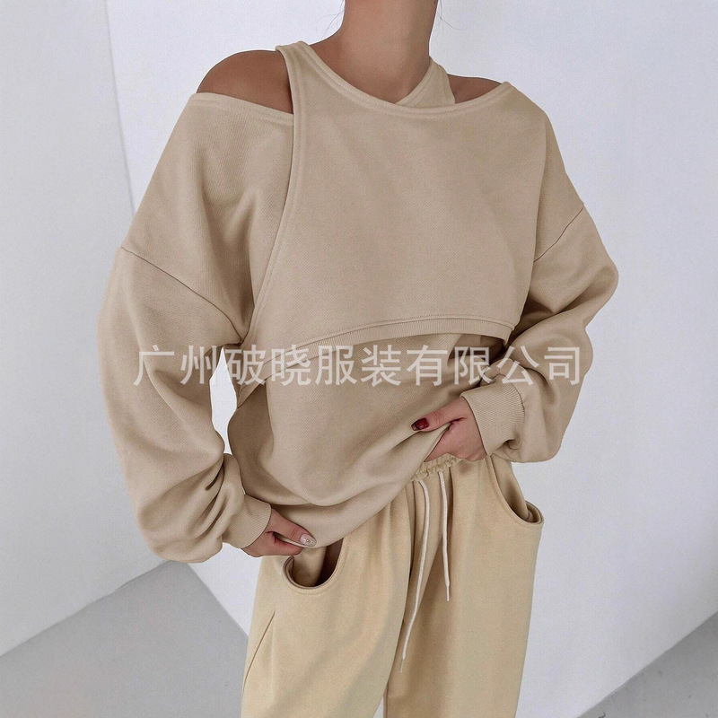 2025春季跨境外贸独立站亚马逊wish欧美新品纯色不对称卫衣|undefined