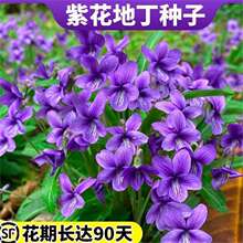 �ϻ��ض��N�Ӷ������ͺ��Ļ��N�ѷNֲ����ș�ÿ�ض��N��