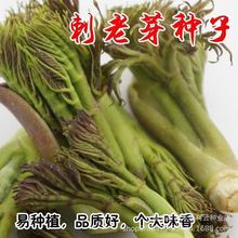 ����ѿ�N���ϱ���ͥԺ���Ԉ@ˇ�Gֲ����ѿ����ѿҰ���߲���