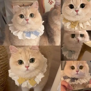 Cat Cotton Lace Scarf Slippery Pet Bow Cute Scarf Decoration Bib Dog Bib Accessories