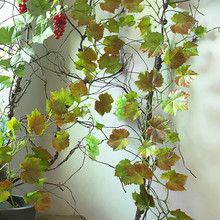 ����ֲ�������~�ٗl�G�~�ٻ��������~��픹ܵ��b����ϻ����ھGֲ