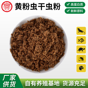 �S���x���x�� �������ԭ�����ӄ�