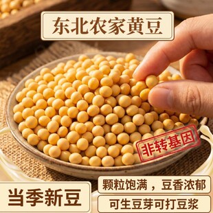26�����S��5��10��|���S���r���ԷN��ȶ��{��ѿ���D�����