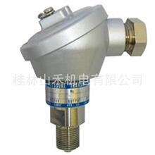 Asahi GaugeӋModel   MES-T