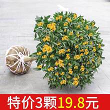 �𻨘�������ͥԺֲ���𵤹�����ͻ����ļ��_�����B�׻�С�辰