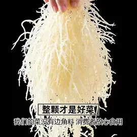 水产干货类;干品/即食海参;贝类