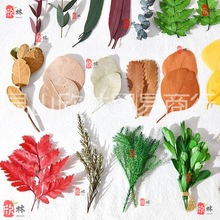 ���Qdiy�������~����~�~���~�����~�S�����~�����˱������S