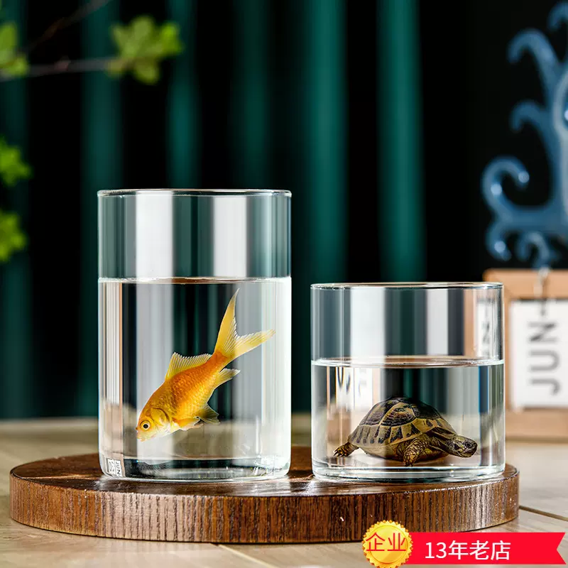 简约玻璃花瓶绿萝水培生态瓶子直筒花瓶微景观摆件分装玻璃罐批发