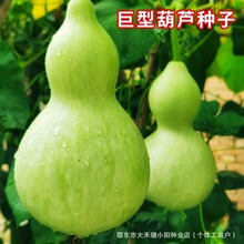 ���ͺ��J�N�ӌ����J�BƤ���J�˺��J�N���^�pͥԺ���ٴ�ƺ��J�N��