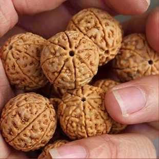 ���^���������������������ִ�������������ʿ�����������ԭ��