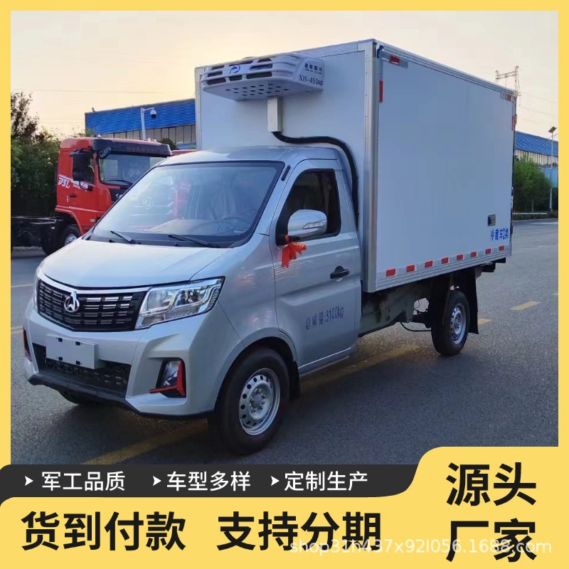 Byd Pure Electric 42m Refrigerated Truck New Energy Van School Vegetable Delivery Cold Chain Truck Freezer