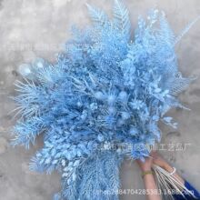 �{ɫ�����{ɫ��c��Ʒ�b���·�����Ż����\�{ɫ��Y�ٻ����滨