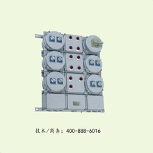 BXM(D)53ϵз(),ATEX,IECExó