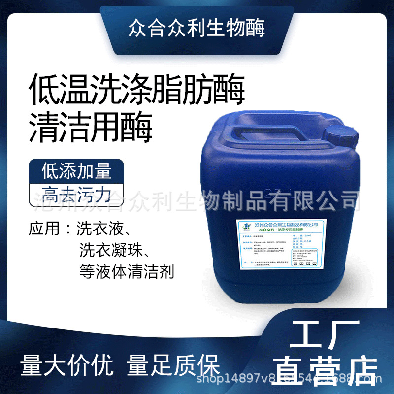 低温洗涤脂肪酶 洗涤工业用原料 去油脂污渍桶装洗涤用脂肪酶液体