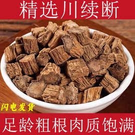精选川断中药材新货川续断四川川段续断接骨草川续段川断泡茶泡酒