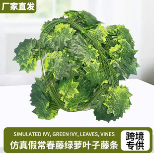 ����ٳ����پG�}�~���ٗl�ڳ�ܵ�����b�������������Gֲ����