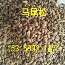 ²RβɷNɘNRβСӷNӸߴɘN