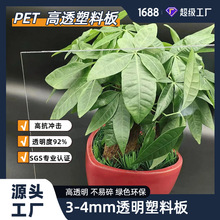 ���_��3mm/4mm��͸pet��������������չʾ�������T���ϸ��g�԰�